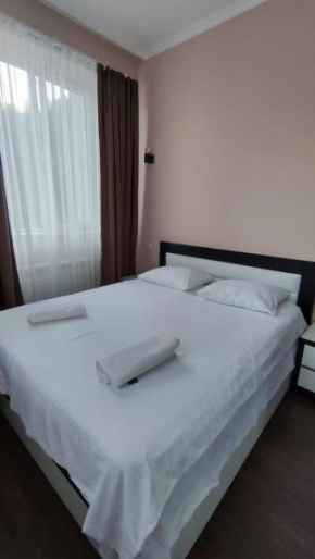 Cozy apartment in Borjomi with beautiful view